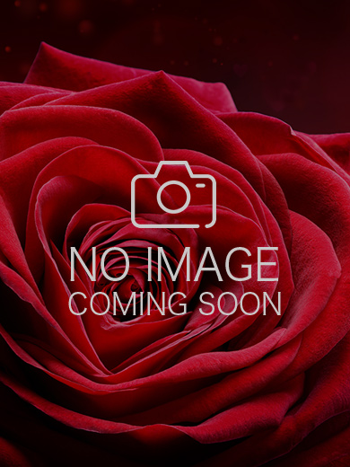 佐藤/Satouイメージ画像②サムネイル